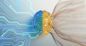 A brain connected to computer wiring for data processing