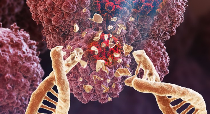 Nature Cancer September issue cover.
