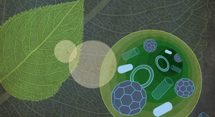 nanomaterials for the genetic manipulation of plants