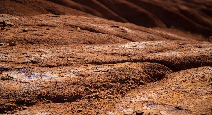 soil