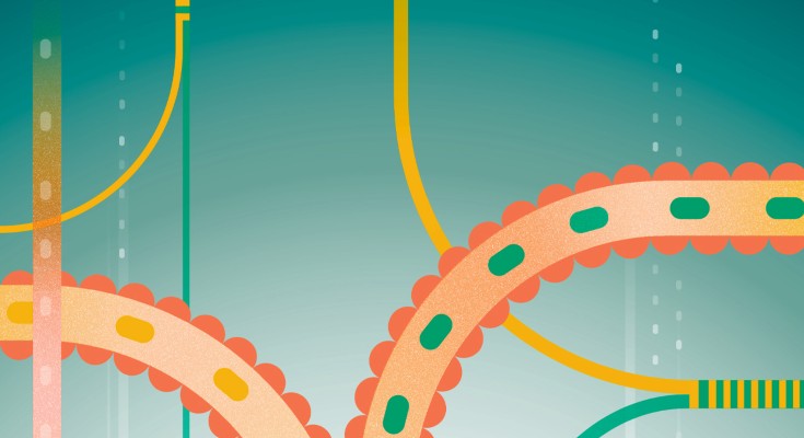 Donor and recipient gastrointestinal tracts and their microbiomes are represented on the cover as converging pipes, demonstrating the interplay between the microbial communities after FMT, described in Bork et al.