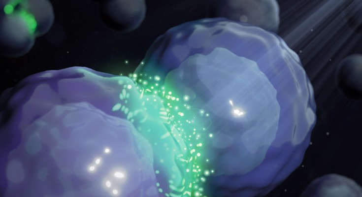 Cell tagging with light