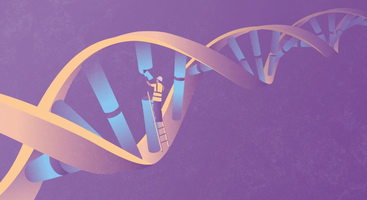 Workman on ladder repairing DNA helix