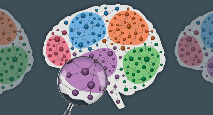 Drawing of brain networks with an area highlighted by a magnifying glass.