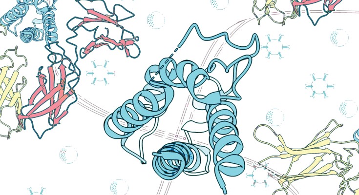 Cytokines