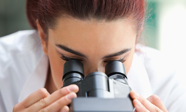 SDG 5: Gender Equality