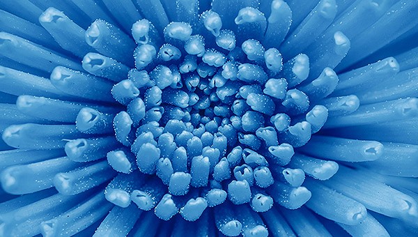 Learn about open research