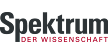 L_brandstrip_spektrum