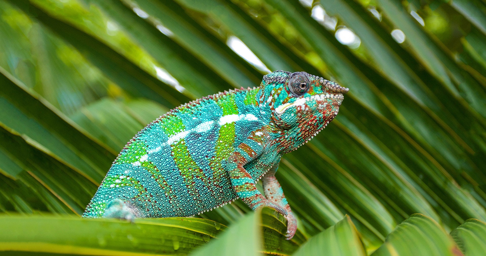 Biomedical & Life Sciences