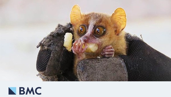 BMC Quiz: so you think you know biology?