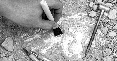 Digital preservation