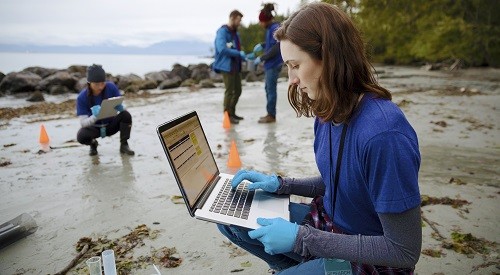 Online modules image