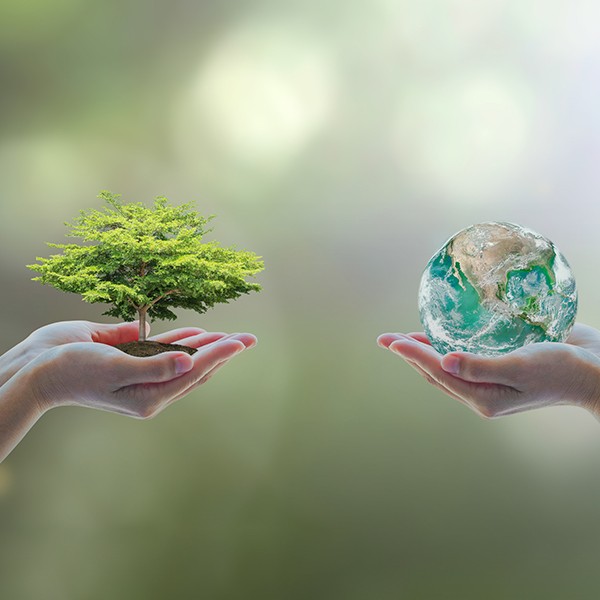 World Environment Day