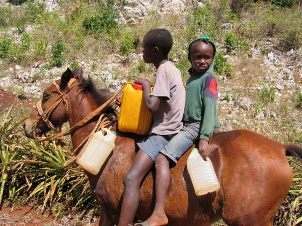 SDG Interview Series: Cornelia Walther on addressing sustainability with a holistic perspective