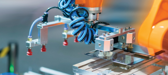 More about the collection