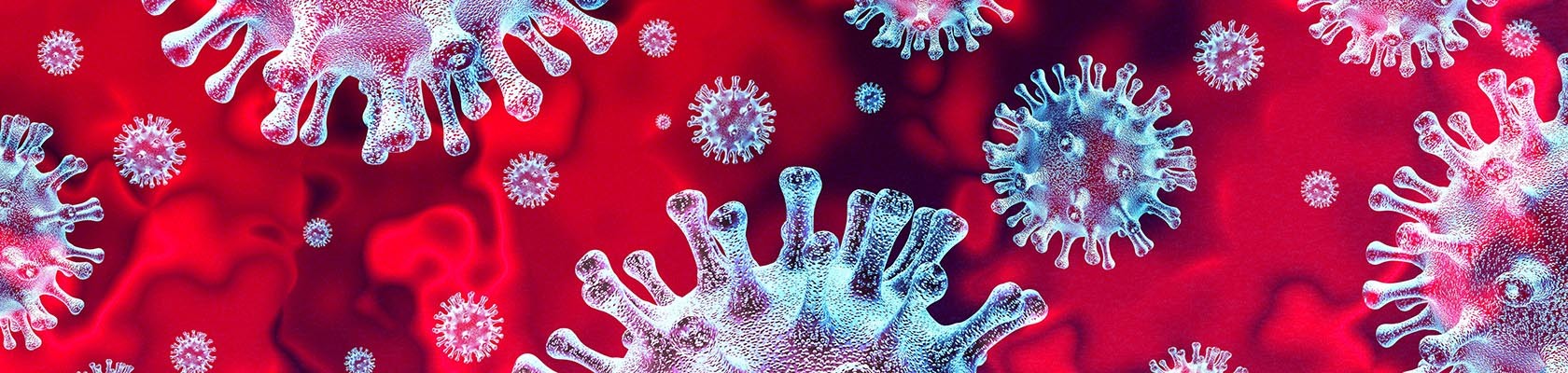 Illustration of coronaviruses for COVID-19 research collection © Brain light / Alamy Stock Photo
