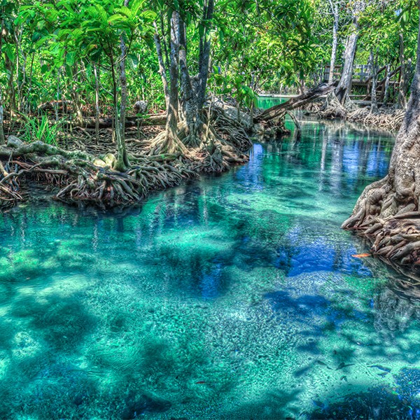 World Water Day 2020