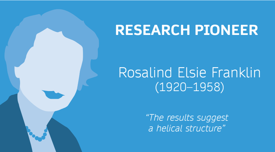 Rosalind Elsie Franklin (1920–1958)