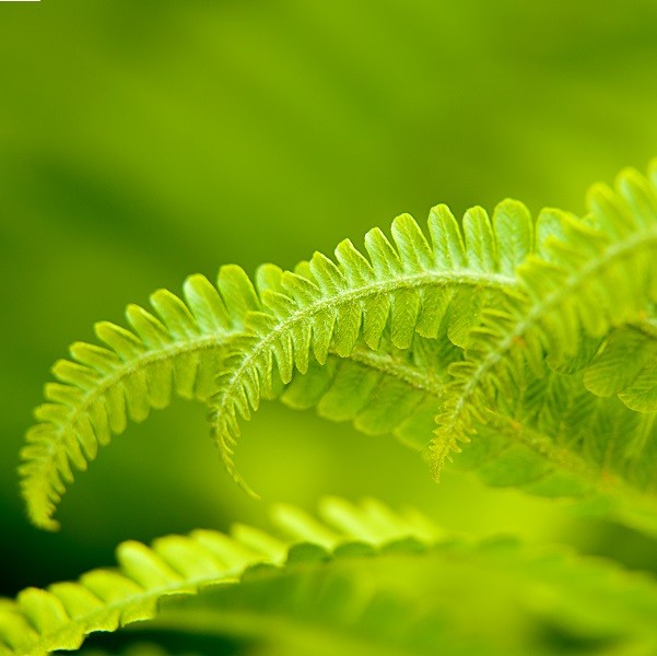 Academic Book Week 2020