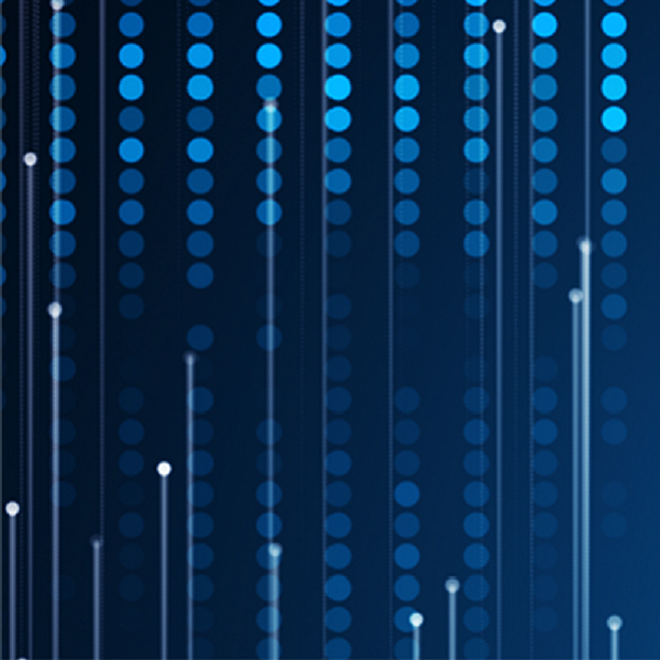 Engineering for Sustainable Development