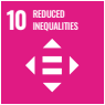 SDG 10 © Springer Nature 2020