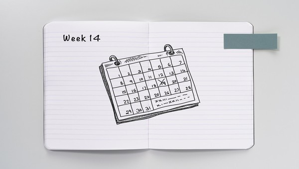 Coronavirus diaries:  week 14