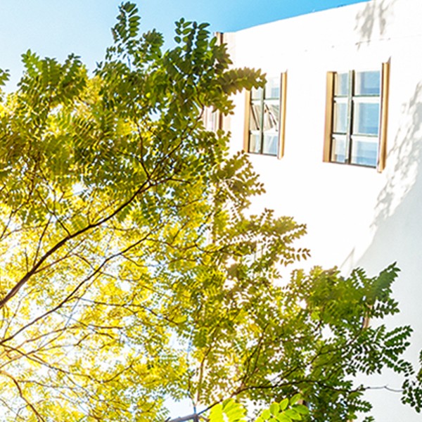 Explore the SDG11 Hub: Sustainable cities and communities