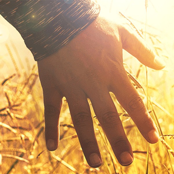 Explore the SDG2 Hub: Reducing Hunger