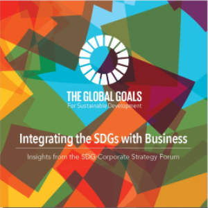Integrating the SDGs with Business booklet, Copyright 2019 United Nations University © Copyright 2019 United Nations University