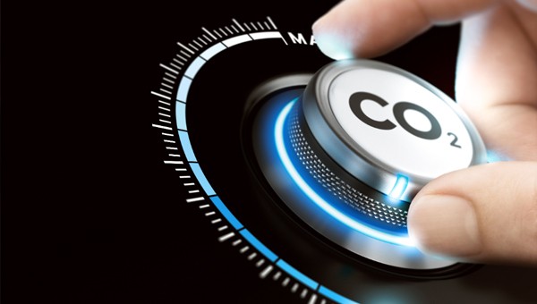 Developing Engineers and Engineering for the Sustainable Development & Low Carbon Economy