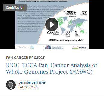 ICGC-TCGA Pan-Cancer Analysis of Whole Genomes Project (PCAWG)