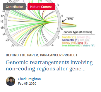 Genomic rearrangements involving non-coding regions alter gene regulation in cancer