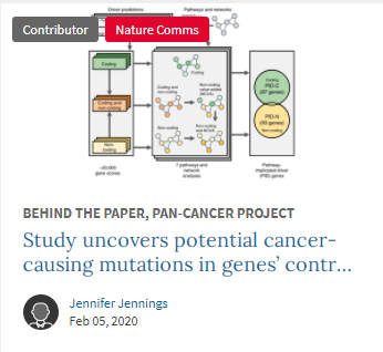 Study uncovers potential cancer-causing mutations in genes’ control switches