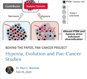 Hypoxia, Evolution and Pan-Cancer Studies