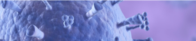 The “Women in Immunology” initiative