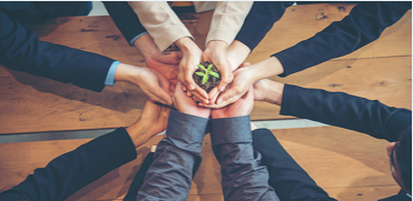 Environmental Science Research Highlights