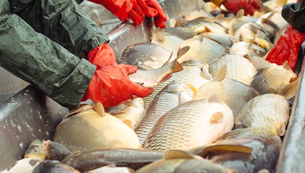 Beyond global hunger: The food people need may not be the food they can get