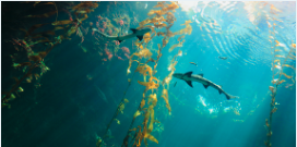 Aquatic Science Research Highlights