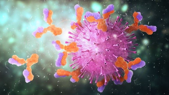 The history of antibodies