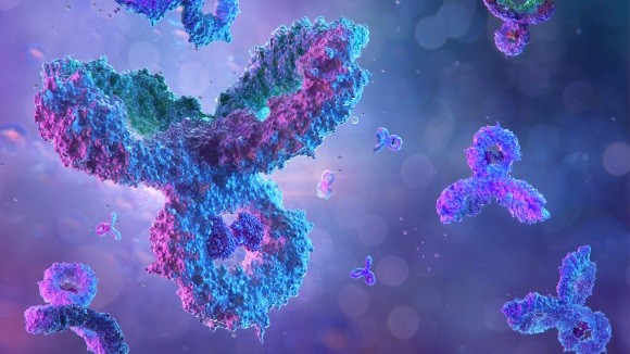 A guide to vaccinology