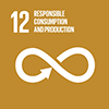 SDG 12 icon © Springer Nature 2021