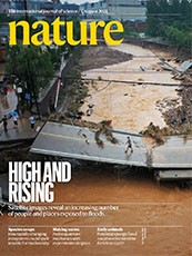 SDG 13 journal covers © Springer Nature