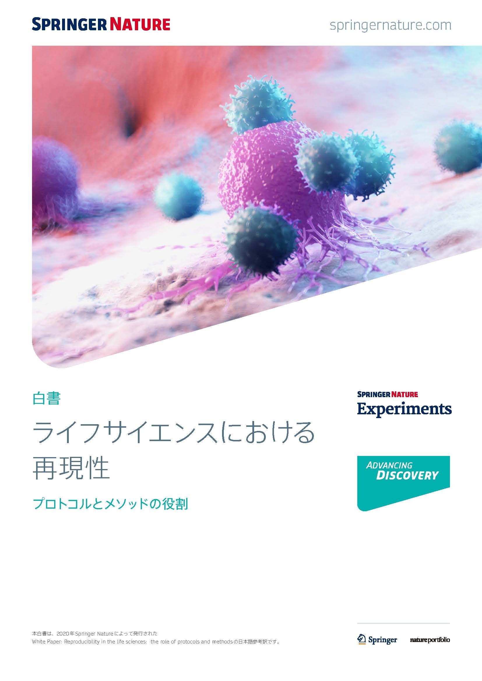 饤ե󥹤ˤ ٬F - ץȥȥ᥽åɤ۸