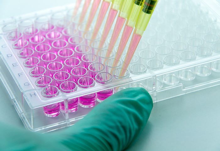 Grundlagen der industriellen Zellkulturtechnik