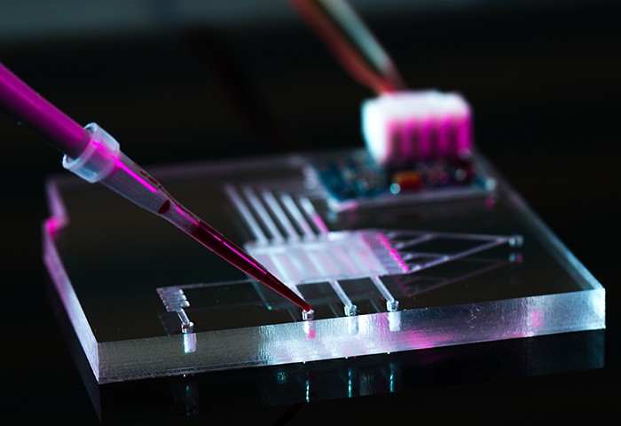 Bioverfahrenstechnik