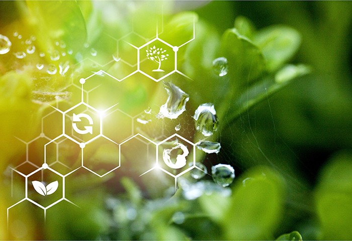 Pflanzenphysiologie für Laborfachkräfte