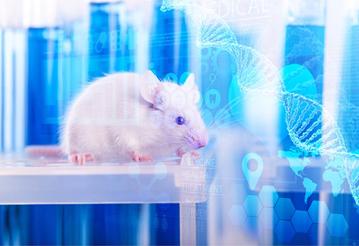 Tierphysiologie 1 für Laborfachkräfte