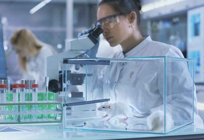 Tierphysiologie 2 & Versuchstierkunde für Laborfachkräfte