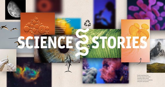 Science Stories © Springer Nature