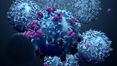 Checkpoint inhibitors  © © Design Cells